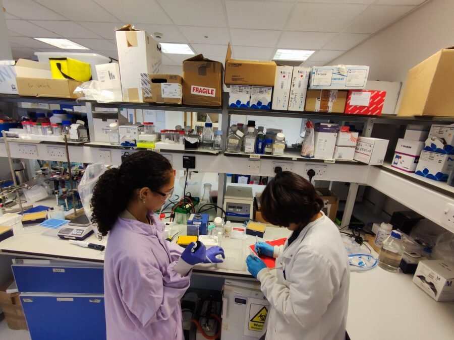 Running an experiment in the lab