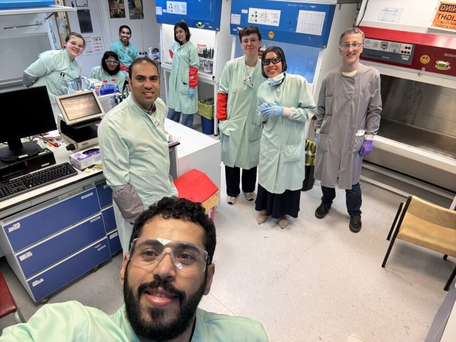 In the cell culture lab